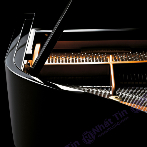Đàn Grand Piano C.Bechstein Academy A228