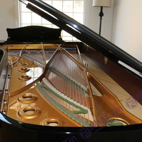 Đàn Grand Piano C.Bechstein Concert D282