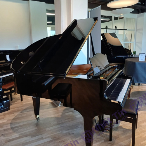 Đàn Grand Piano C.Bechstein Concert L167