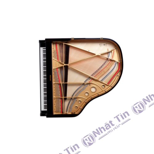 Đàn Grand Piano Fazioli F156