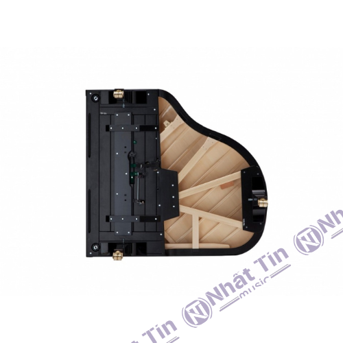 Đàn Grand Piano Fazioli F156