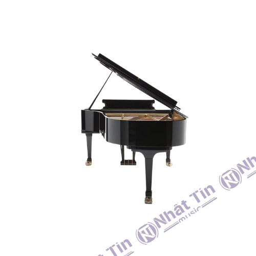 Đàn Grand Piano Fazioli F212