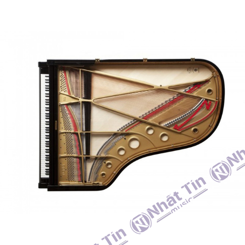 Đàn Grand Piano Fazioli F212