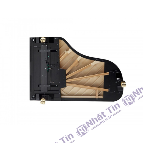 Đàn Grand Piano Fazioli F212