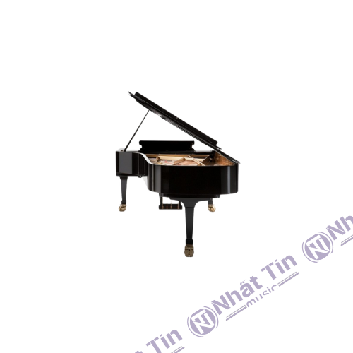 Đàn Grand Piano Fazioli F308