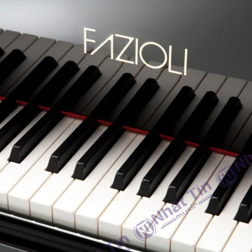 Đàn Grand Piano Fazioli F308