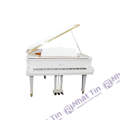 Đàn Grand Piano Ritmuller R9