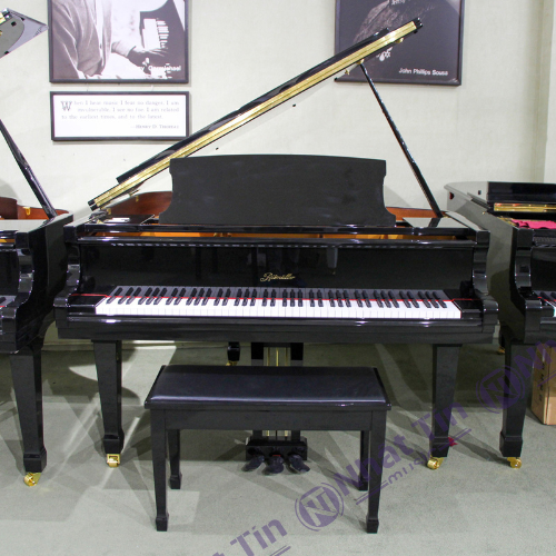 Đàn Grand Piano Ritmuller R9