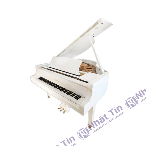 Đàn Grand Piano Ritmuller RS150