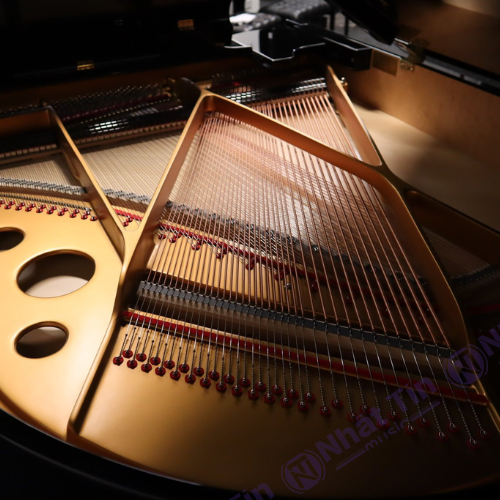 Đàn Grand Piano Steingraeber & Söhne A-170