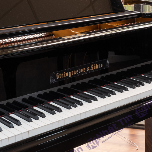 Đàn Grand Piano Steingraeber & Sohne B-192