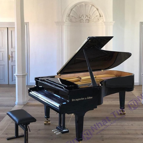 Đàn Grand Piano Steingraeber & Sohne D-232 