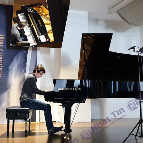 Đàn Grand Piano Steingraeber & Sohne D-232 