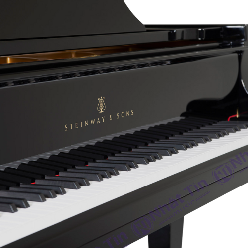 Đàn Grand Piano Steinway & Sons D-274