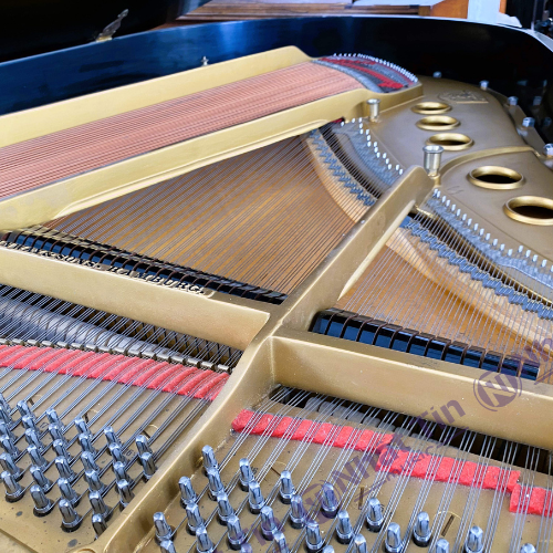 Đàn Grand Piano Steinway & Sons M-170