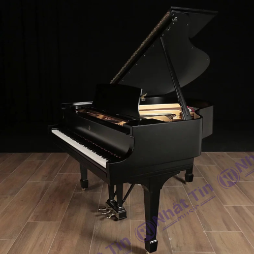 Đàn Grand Piano Steinway & Sons S-155