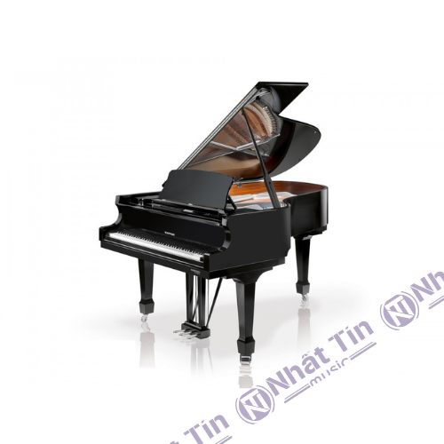 Đàn Grand Piano W.HOFFMANN P162