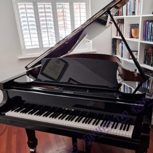 Đàn Grand Piano W.HOFFMANN P188