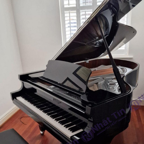 Đàn Grand Piano W.HOFFMANN P188