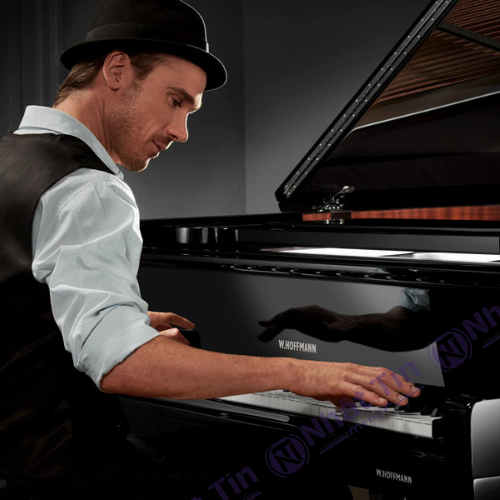 Đàn Grand Piano W.HOFFMANN P188