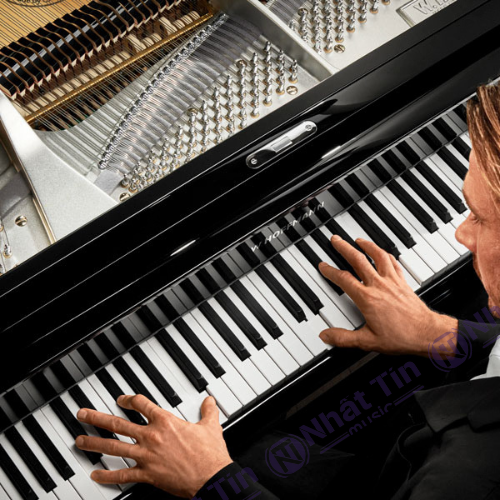 Đàn Grand Piano W.HOFFMANN P206