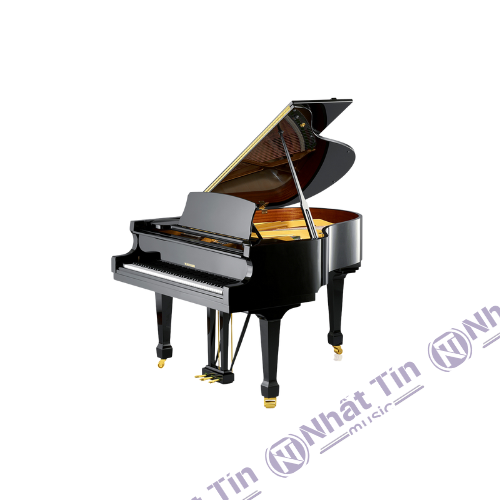 Đàn Grand Piano W.HOFFMANN T161