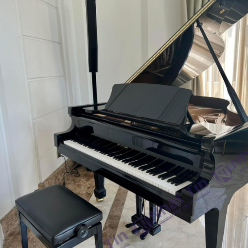 Đàn Grand Piano W.HOFFMANN T161
