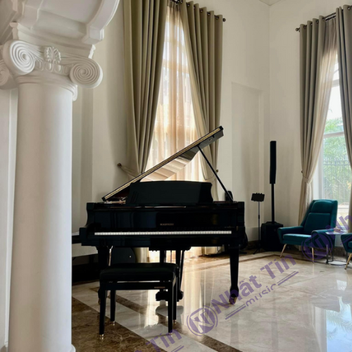 Đàn Grand Piano W.HOFFMANN T161