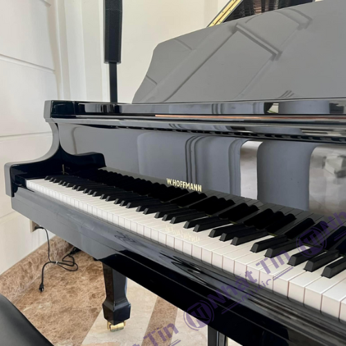 Đàn Grand Piano W.HOFFMANN T161