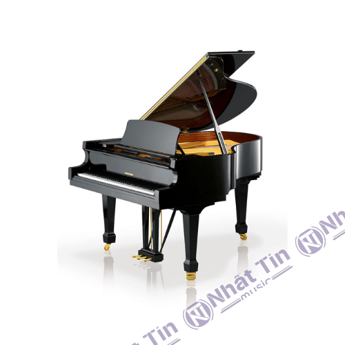 Đàn Grand Piano W.HOFFMANN T177