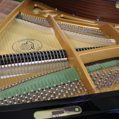 Đàn Grand Piano W.HOFFMANN T177