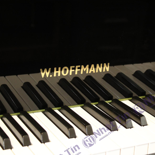 Đàn Grand Piano W.HOFFMANN T177