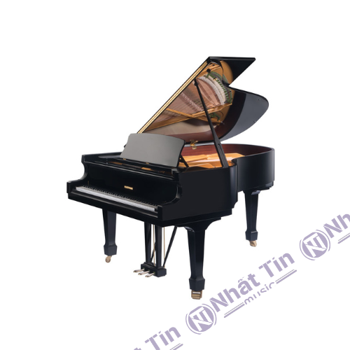 Đàn Grand Piano W.HOFFMANN T186