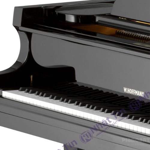 Đàn Grand Piano W.HOFFMANN T186