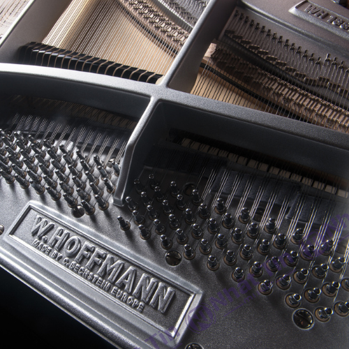 Đàn Grand Piano W.HOFFMANN T186