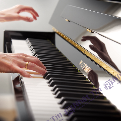 Đàn Grand Piano W.HOFFMANN T186