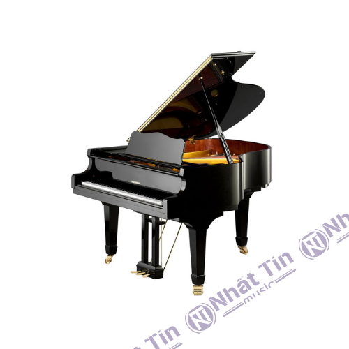 Đàn Grand Piano W.HOFFMANN V158