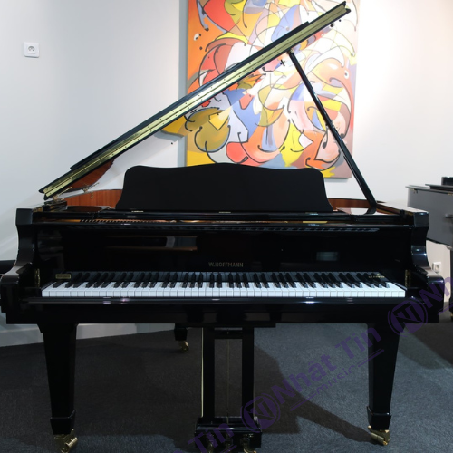 Đàn Grand Piano W.HOFFMANN V158