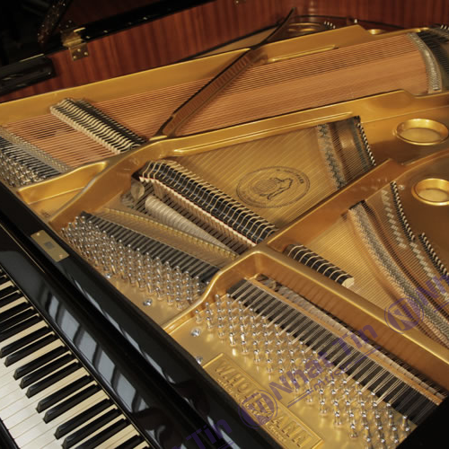 Đàn Grand Piano W.HOFFMANN V158