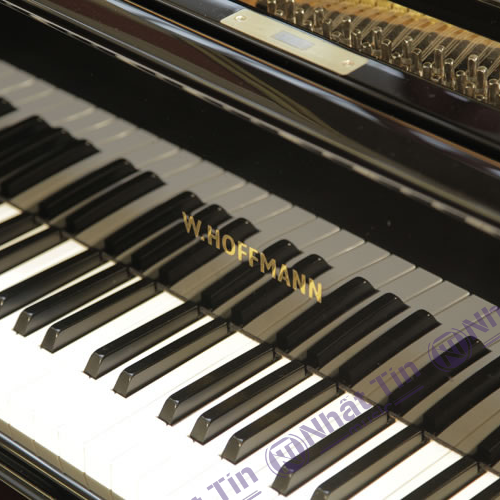 Đàn Grand Piano W.HOFFMANN V158