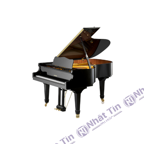  Đàn Grand Piano W.HOFFMANN V175 