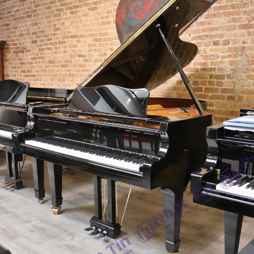  Đàn Grand Piano W.HOFFMANN V175 