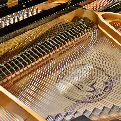  Đàn Grand Piano W.HOFFMANN V175 
