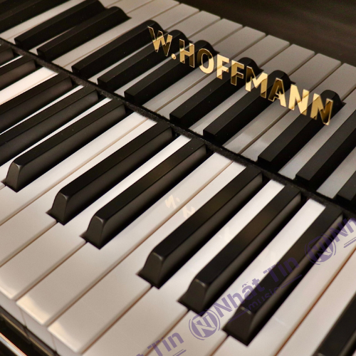  Đàn Grand Piano W.HOFFMANN V175 