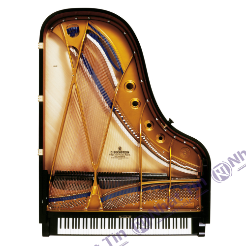 Đàn Grand Piano W.HOFFMANN V183