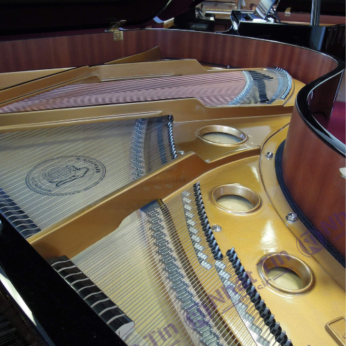 Đàn Grand Piano W.HOFFMANN V183