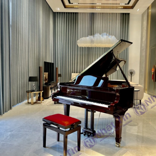 Đàn Grand Piano W.HOFFMANN V183
