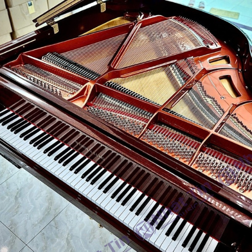 Đàn Grand Piano Wendl & Lung Mod.151