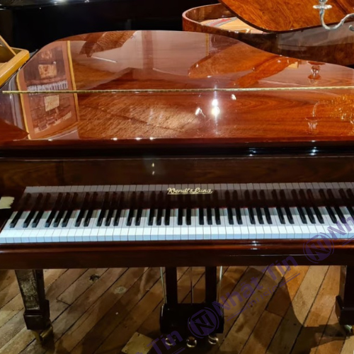 Đàn Grand Piano Wendl & Lung Mod.161