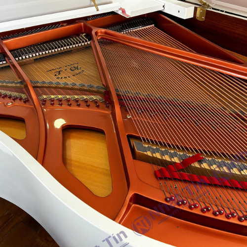 Đàn Grand Piano Wendl & Lung Mod.178